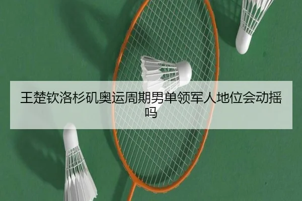 王楚钦洛杉矶奥运周期男单领军人地位会动摇吗